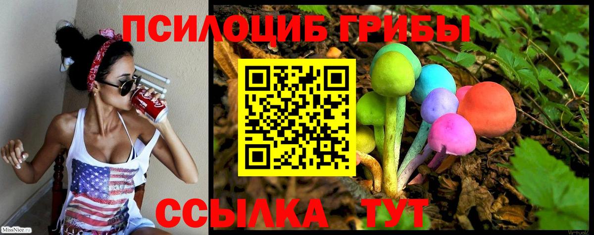 Псилоцибиновые грибы Cubensis  Вход с VPN  цены наркотик  Сергиев Посад 